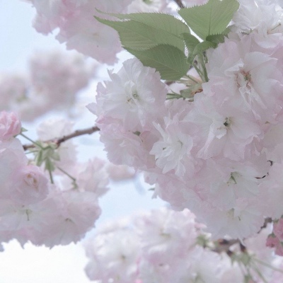 Furry兽圈创作趋势兽圈群